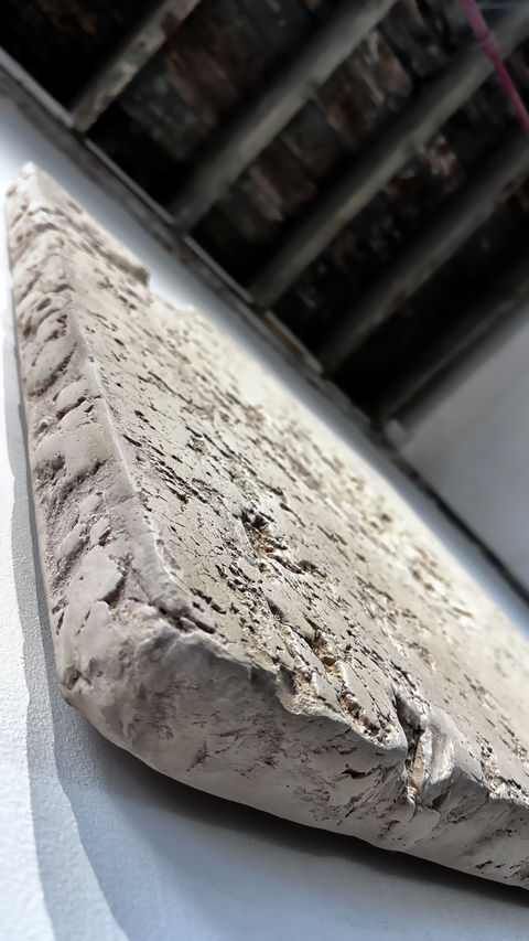 Collection GAIA • Off-White color family