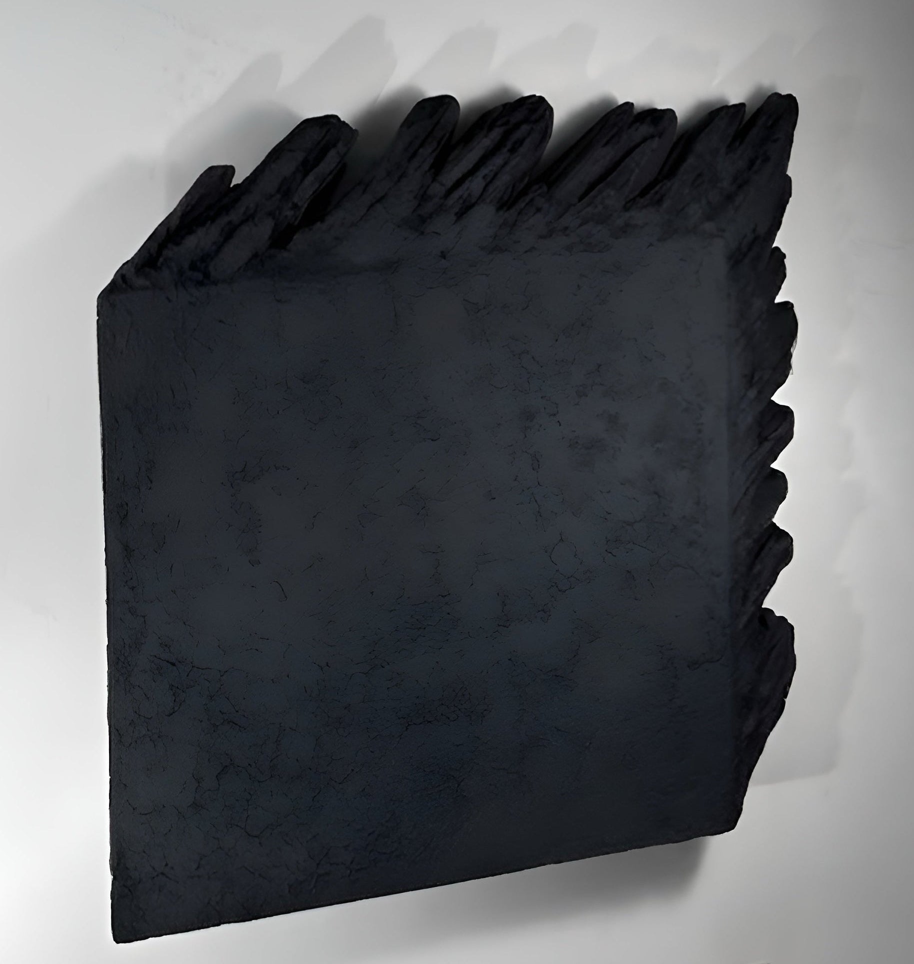 Black abstract sculpture on a white wall