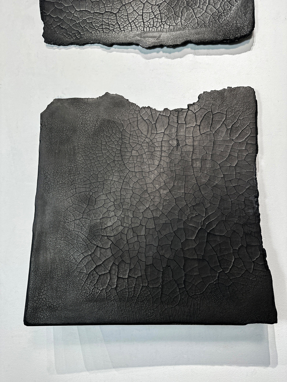 SAUDADE — lower panel detail, torn upper edge and crackled texture