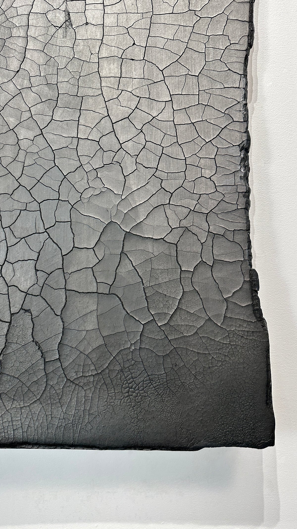 SAUDADE — detail of alligator crackle and gradient from gray to black