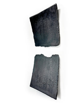 SAUDADE — Black Yakisugi Panels
