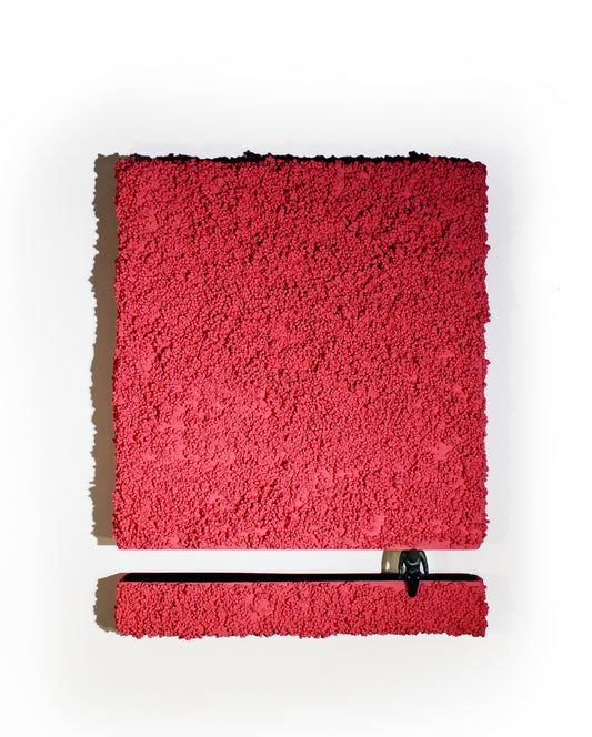 CHOICE — frontal view, red textured panel and ledge with seated figure, studio light